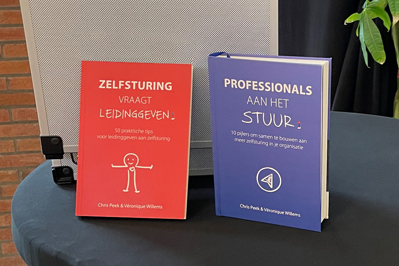 Boek - professionals aan het stuur - bouwen aan meer zelfsturing